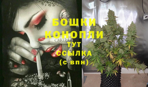 круглые Болотное